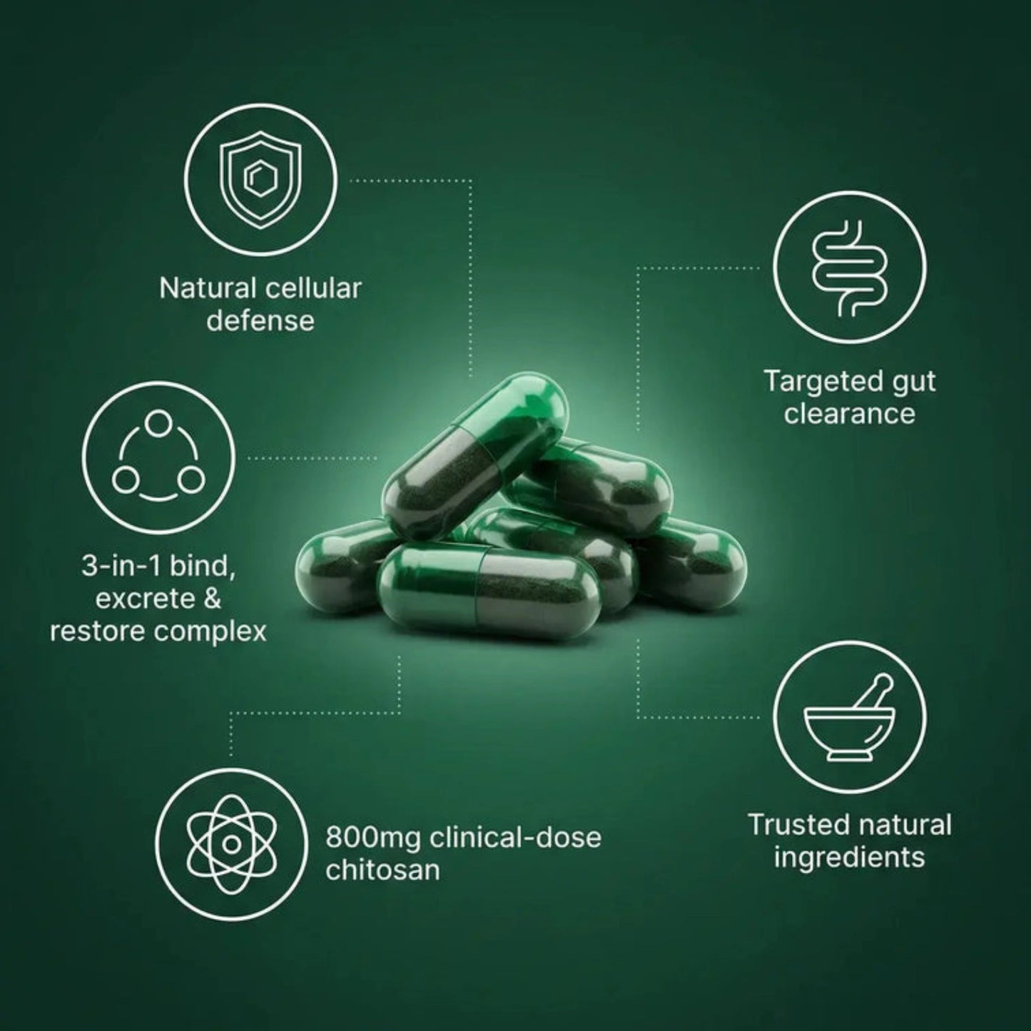 Microplastic Elimination Support